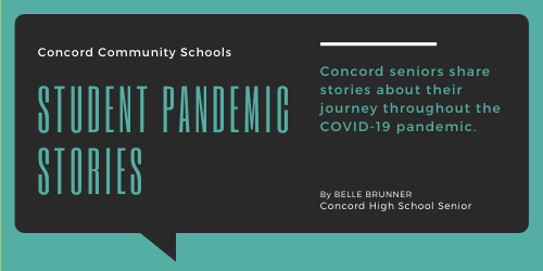 student pandemic stories graphic