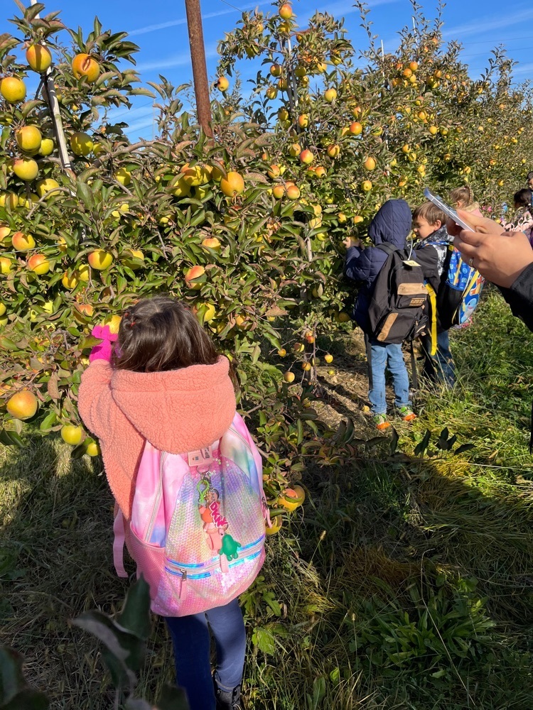Kercher’s Apple Orchard. 